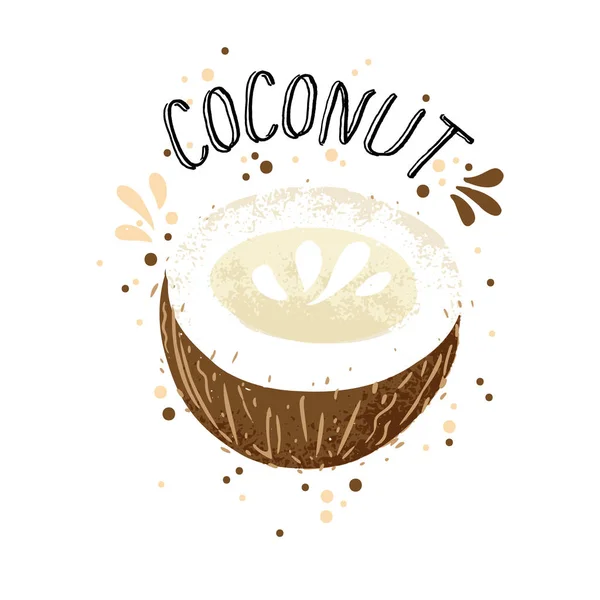 Vector mano dibujar la ilustración de coco. Cocos marrones con salpicadura de jugo aislado sobre fondo blanco. Texturizado de coco blanco y marrón con salpicaduras de leche, jugo de frutas tropicales con palabra Coco en la parte superior — Archivo Imágenes Vectoriales