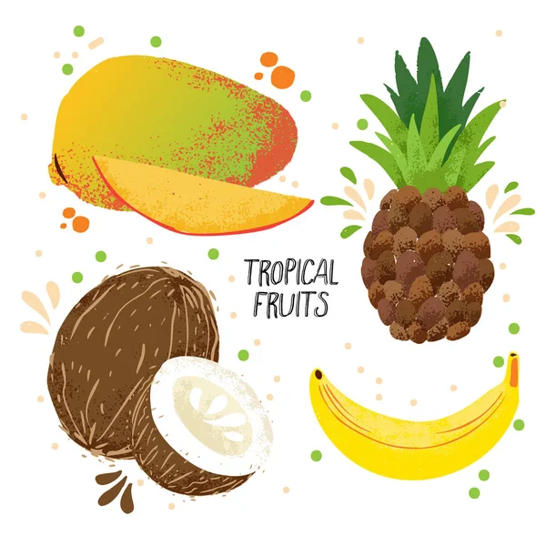 Hand draw vector uppsättning tropiska frukter - mango, banan, ananas och kokos isolerad på vit bakgrund. Tropiska frukter samling med juice stänk. Mogna tropiska frukter inställd, mango, kokosnötter — Stock vektor