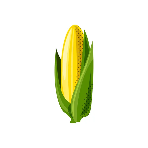 Färsk saftig veg-majs vektor ikonen isolerad på vit bakgrund. Majs ikon, platt stil, vegetabiliska vektor illustration. Hälsosam mat enda objekt-isolerad majs — Stock vektor