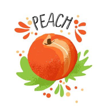 Vektör ele şeftali resim çekin. Beyaz arka plan üzerinde izole meyve suyu sıçrama ile turuncu olgun şeftali. Dokulu şeftali sıçramalarına, Word şeftali üstünde tepe tropikal meyve suyu ile. Taze siluet