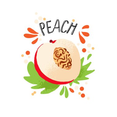 Vektör ele şeftali resim çekin. Beyaz arka plan üzerinde izole meyve suyu sıçrama ile turuncu olgun şeftali. Dokulu şeftali sıçramalarına, Word şeftali üstünde tepe tropikal meyve suyu ile. Taze siluet