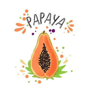 Vektör el renkli papaya illüstrasyon çizin. Portakal, hamuru ve meyve kemikleri ve yeşil yaprakları ile sarı papaya. Beyaz arka planda papaya ile taze tropikal meyve illüstrasyon