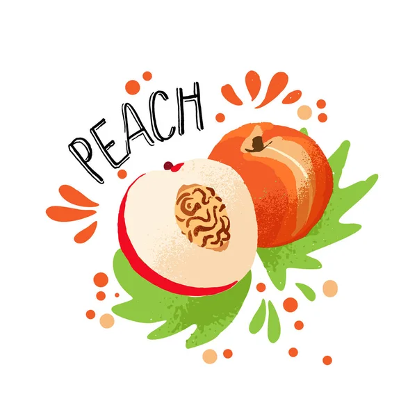 Vektor Hand zeichnen farbige Pfirsich Illustration. Orangenpfirsich mit Fruchtfleisch und Fruchtknochen und grünen Blättern. Illustration von frischen tropischen Früchten mit Pfirsichen auf weißem Hintergrund — Stockvektor