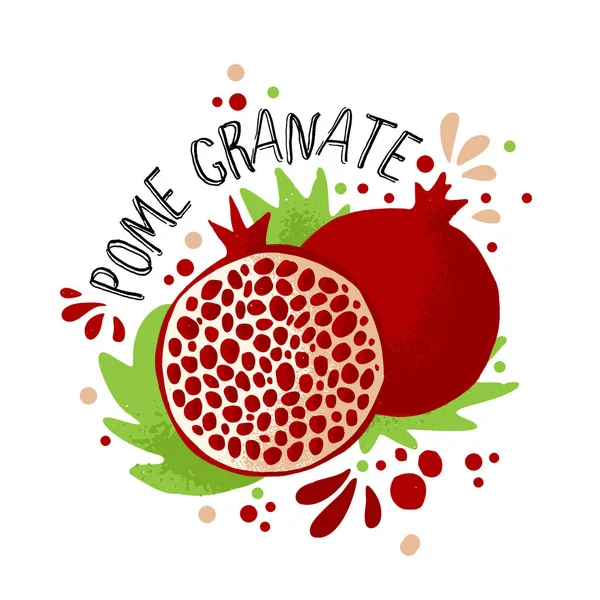 Το χέρι του διανύσματος ζωγραφίζει έγχρωμη απεικόνιση ροδιού. Μωβ, κόκκινο ρόδι με πολτό και οστά φρούτων και πράσινα φύλλα. Εικονογράφηση φρέσκων τροπικών φρούτων με ρόδια σε λευκό φόντο — Διανυσματικό Αρχείο