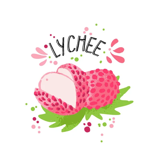 Vector mano dibujar ilustración de color lichee. Lichee rosa, blanco con pulpa y hojas verdes. Ilustración de frutas tropicales frescas con lichee sobre fondo blanco — Archivo Imágenes Vectoriales