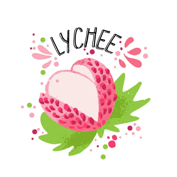 Vektor Hand zeichnen farbige Lichee Illustration. rosa, weiße Flechten mit Fruchtfleisch und grünen Blättern. Illustration von frischen tropischen Früchten mit Flechten auf weißem Hintergrund — Stockvektor