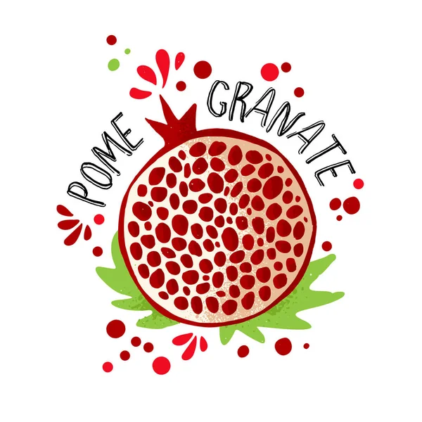 Vektorová ruka kreslí barevný granátová ilustrace. Fialový, červený granátová jablka s dužinou a ovocnými listy. Čerstvé tropické ovoce ilustrace s granátové granáty na bílém pozadí — Stockový vektor