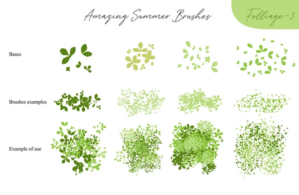 一套夏季病媒叶生态刷-夏季树叶的轮廓，树叶，不同的绿色类型隔离在白色，病媒图解刷自然集合 — 图库矢量图片