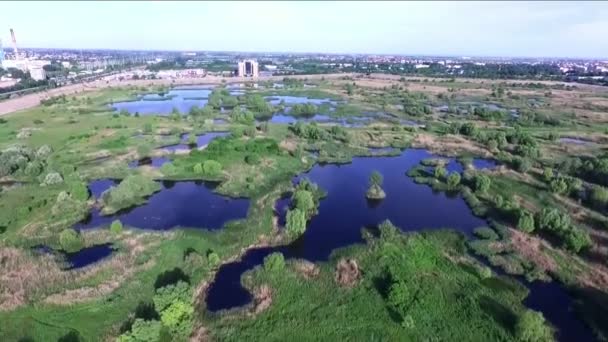 Aerial Drone Shot Flying Protected Wetland Vacaresti Nature Reserve Delta — Stock Video