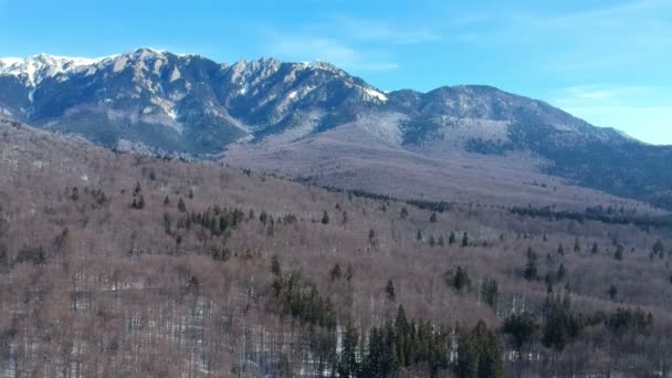 Luftaufnahme Des Ausgedehnten Tannen Und Laubwaldes Der Ciucas Berge Mit — Stockvideo