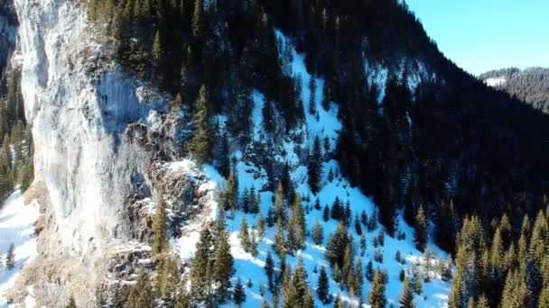 Spectaculaire Rots Kalksteen Muur Bedekt Met Dennenbomen Alpine Landschap Zanoaga — Stockvideo