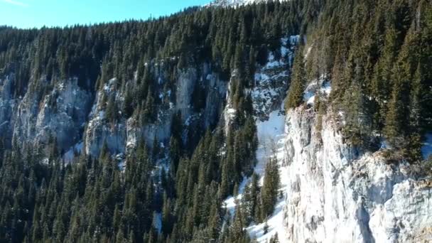Vliegende Naast Spectaculaire Hoge Rotswand Kalksteen Bedekt Met Sparren Alpenlandschap — Stockvideo