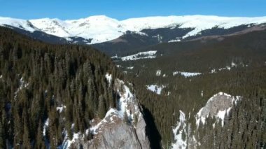 Çam ağaçları, kışın Tataru Gorge, Bucegi Tabiat Parkı, Romanya, hava görünümünde Alp manzara muhteşem uzun boylu kaya kireçtaşı duvarı kaplı