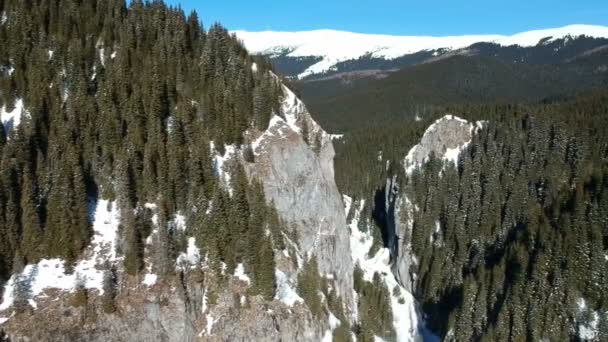 Fliegen Entlang Spektakulärer Hoher Mit Tannen Bewachsener Felswände Winterliche Alpine — Stockvideo