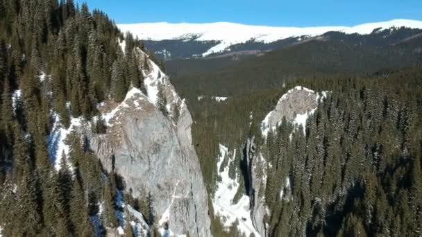 Kış Manzarası Tataru Gorge Bucegi Tabiat Parkı Karpat Dağları Romanya — Stok video