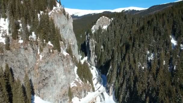 Aufstieg Über Spektakuläre Hohe Mit Tannen Bewachsene Felswand Alpine Landschaft — Stockvideo