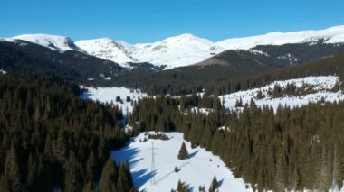 Alp manzara bir vadinin içinde kış, karlı zirveleri Bucegi Dağları, Karpat aralığının bir parçası ve yaygın çam ormanı, havadan görünümü
