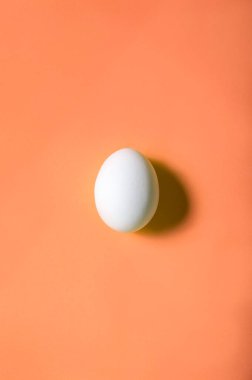 Tek beyaz yumurta, merkez çerçeve, katı soluk turuncu arkaplanda izole.