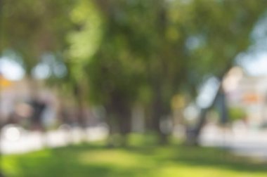 Meksika, Tijuana 'daki ağaçların ve yeşil çimenliğin bulanık arkaplan görüntüsü