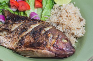 Taze kırmızı Tilapia, Meksika 'da Mojarra olarak bilinir.