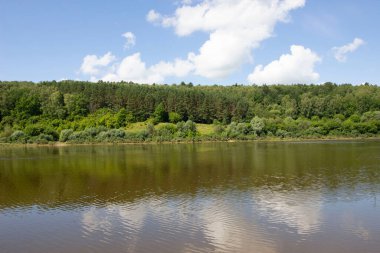 Kıyısında çam ormanı olan geniş bir nehir.. 