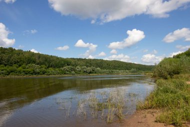 Kıyısında çam ormanı olan geniş bir nehir.. 