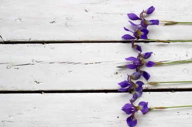 Beyaz ahşap arka planda mor süsen çiçekleri