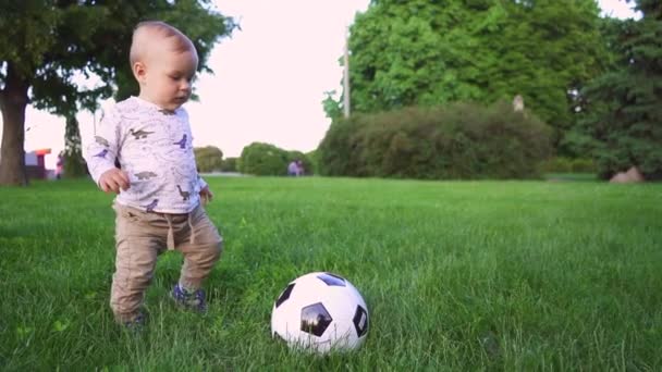 Liten Pojke Som Spelar Fotboll Parken Gräs Ett Gammal Baby — Stockvideo