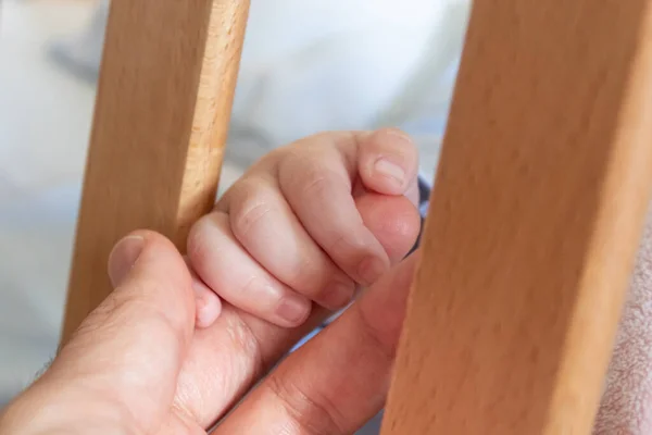 Baby Hand Wooden Crib Bars — Stock Photo, Image