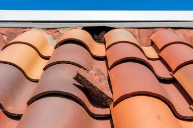 Damaged eave closure on the clay tile roof creates openings to birds and wildlife. clipart