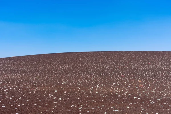 Scenic Uitzicht Dwerg Boekweit Planten Groeien Helling Bij Kraters Van — Stockfoto