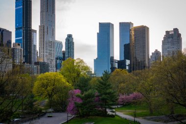 Arkasında ağaçlar ve Manhattan gökdelenleri olan Central Park