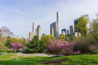 Arkasında ağaçlar ve Manhattan gökdelenleri olan Central Park