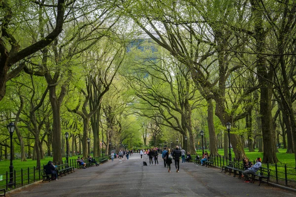 中央公園のモールと文学散歩の眺め通りを通り過ぎる人々とリラックス — ストック写真