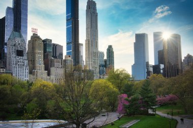 New York, New York / ABD - 04 25 2020: Central Park, New York 'ta bahar zirvesinde ve Manhattan ufuk çizgisinde güzel kiraz çiçekleri