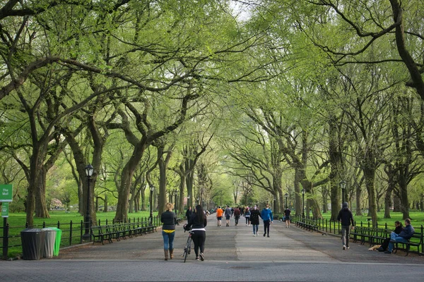 ニューヨーク アメリカ 2020年4月24日 中央公園のモールと文学散歩の眺め — ストック写真