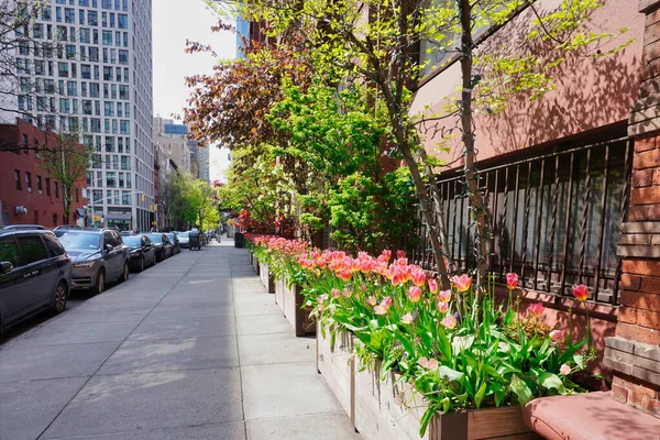 New York, New York / ABD - 26 Nisan 2019: Manhattan 'daki East Village' ın yerleşim yeri güzel bitkilerle dolu