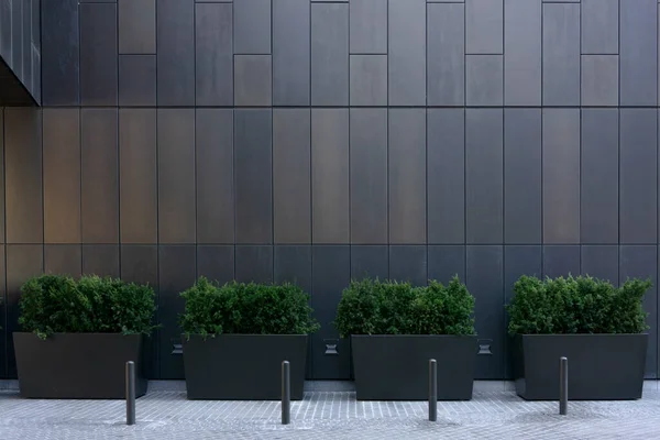 Grande Jardinière Métal Gris Avec Plantes Feuillage Design Terrasse Avec — Photo