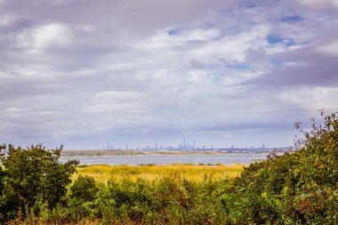 Uzun çimen tarlası ve gölün üzerinde çalılar. Arka planda da New York binaları var.