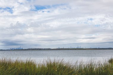 Arka planda NYC binaları olan gölün üzerindeki çimen tarlası.