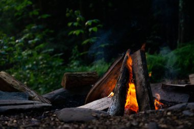 Ormanda kamp ateşi. Ormanda günbatımında yanan odunlardan gelen kırmızı alevlere yakın durun.