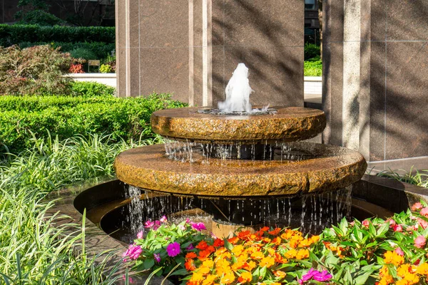 Jardín Frente Edificio Con Fuente Varias Plantas Patio Exótico — Foto de Stock