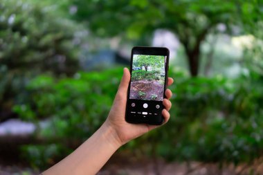 Bulanık arkaplanlı mobil keskin fotoğraf. Cep telefonuyla fotoğraf çekiyor.