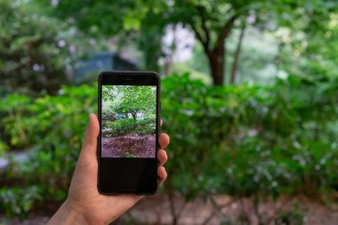 Bulanık arkaplanlı mobil keskin fotoğraf. Cep telefonuyla fotoğraf çekiyor.