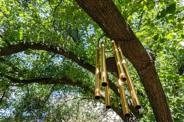 Açık Hava Bahçesindeki Ağaçtan Sarkan Altın Rüzgar Çanları — Stok fotoğraf