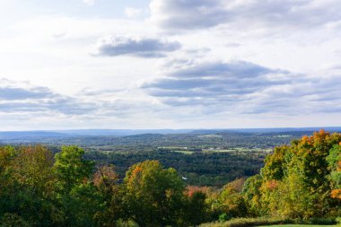 Yeşil, turuncu, altın ağaçlı ve vadili manzara