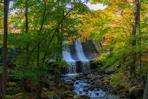 Cachoeira Bonita Floresta Outono Colorido Com Folhas Vermelhas Laranja — Fotografia de Stock