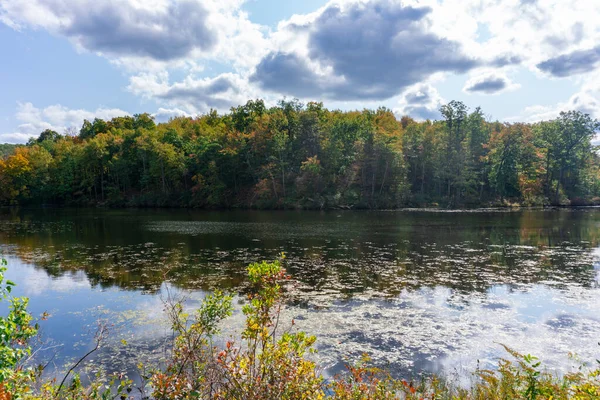 호수에 나무들이 반사되어 가을의 바라봄 — 스톡 사진
