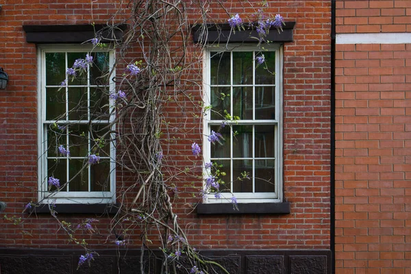 Часть Каменного Многоквартирного Дома Окнами Растениями — стоковое фото