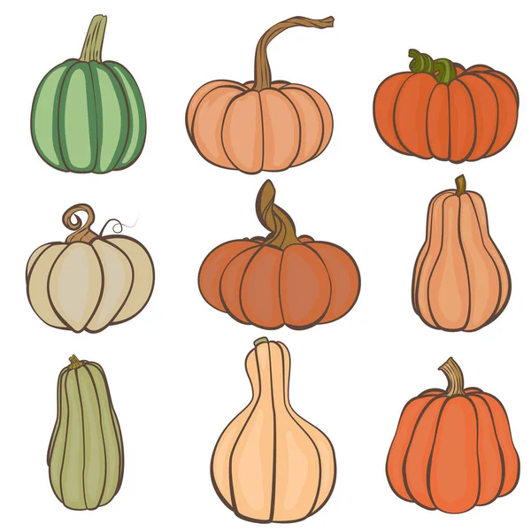 Wallpaper Different Kinds Pumpkins White Background Autumn Stock Vector